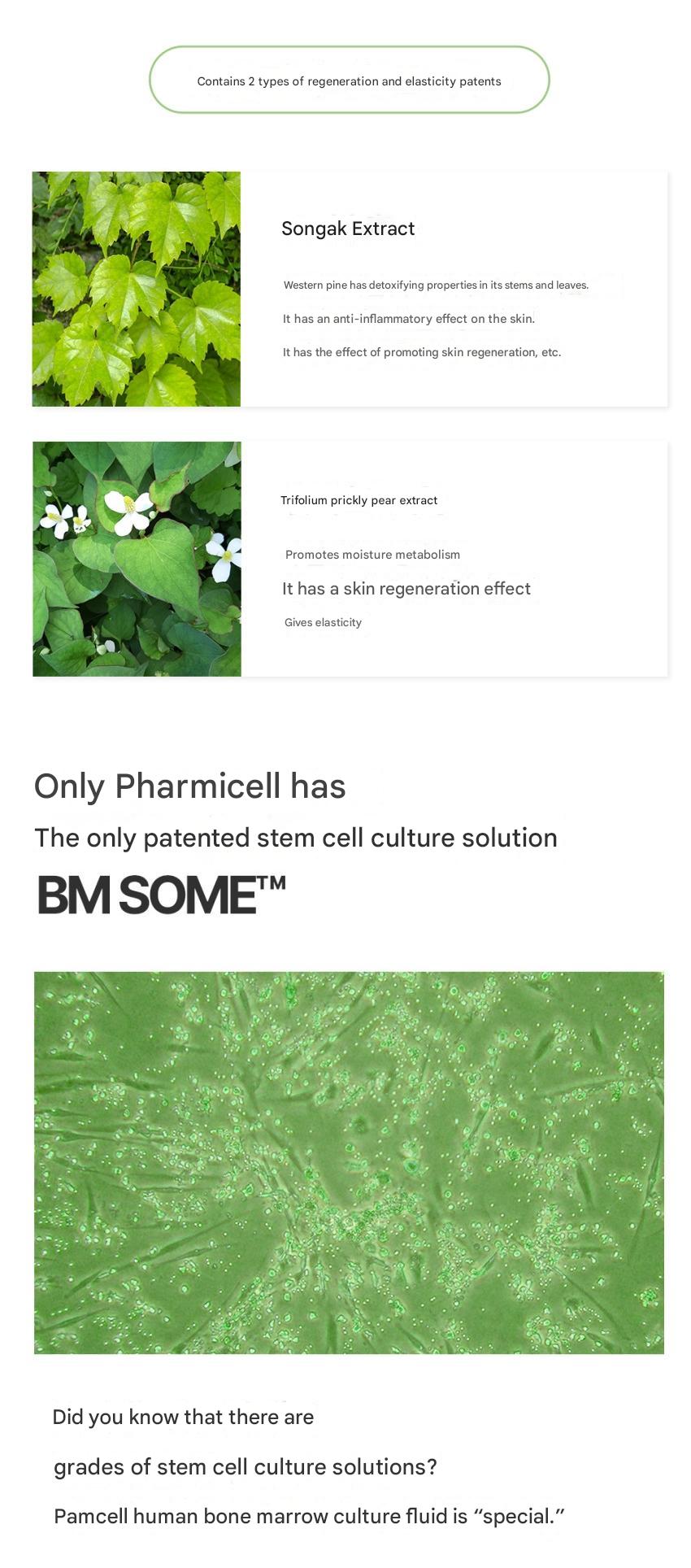 PHARMICELL [Black Friday] Pharmicell Stem Cell Panthenol Mask Pack 5EA 1+1