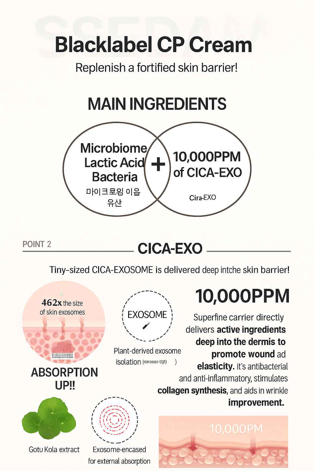 SSEDAM Real Lacto BlackLabel CP CREAM