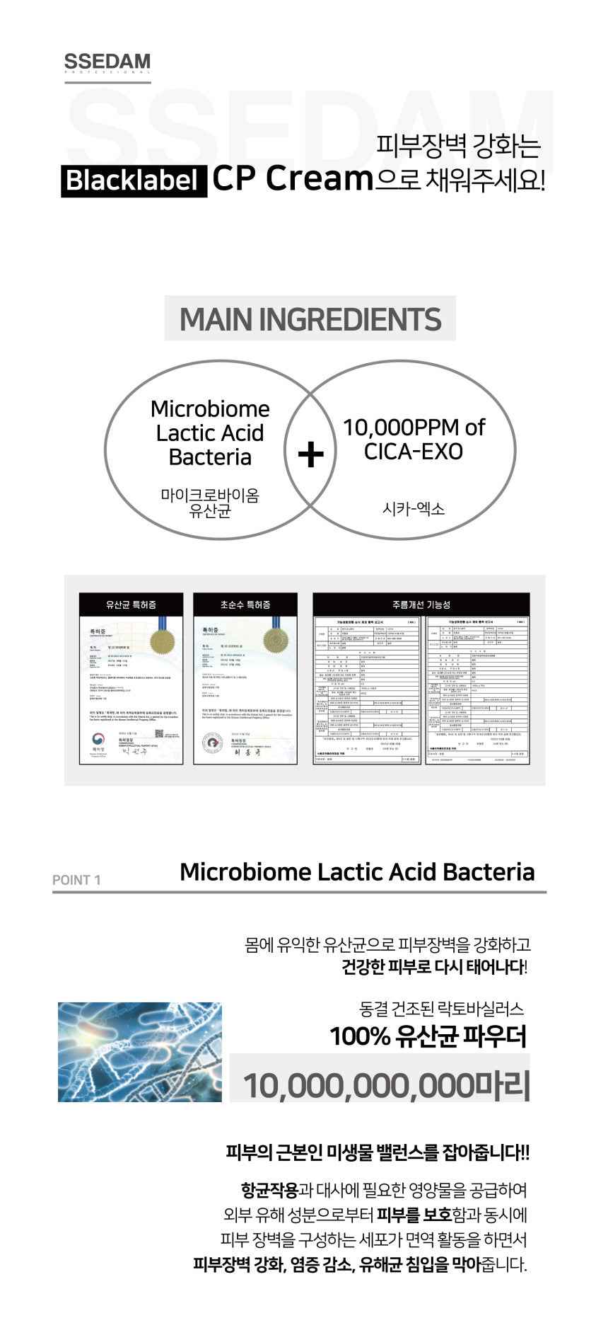 SSEDAM Real Lacto BlackLabel CP CREAM (사본)