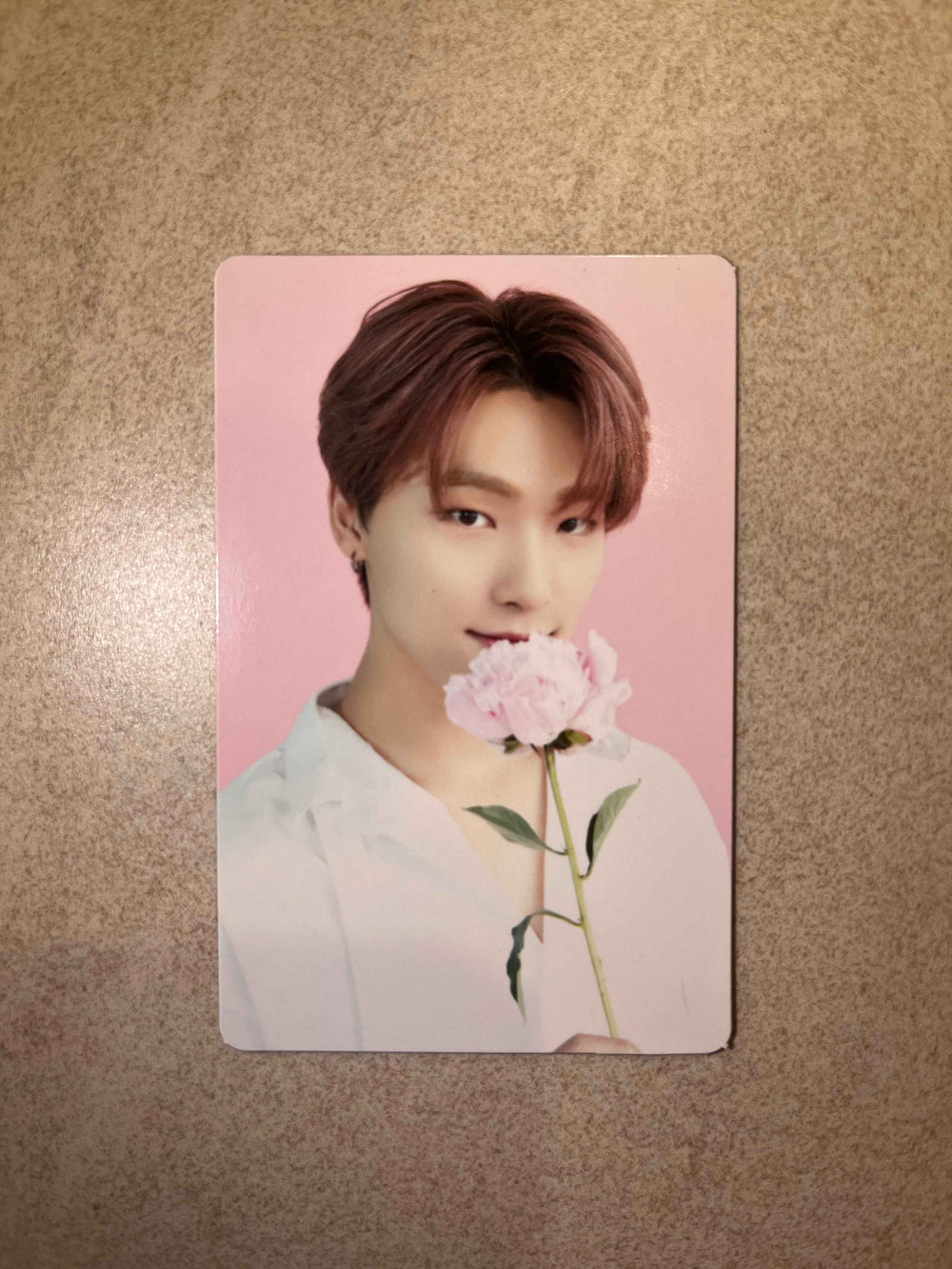 Seventeen Cafe in Seoul - Official Trading Photocard