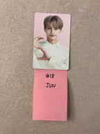Seventeen Cafe in Seoul - Official Trading Photocard