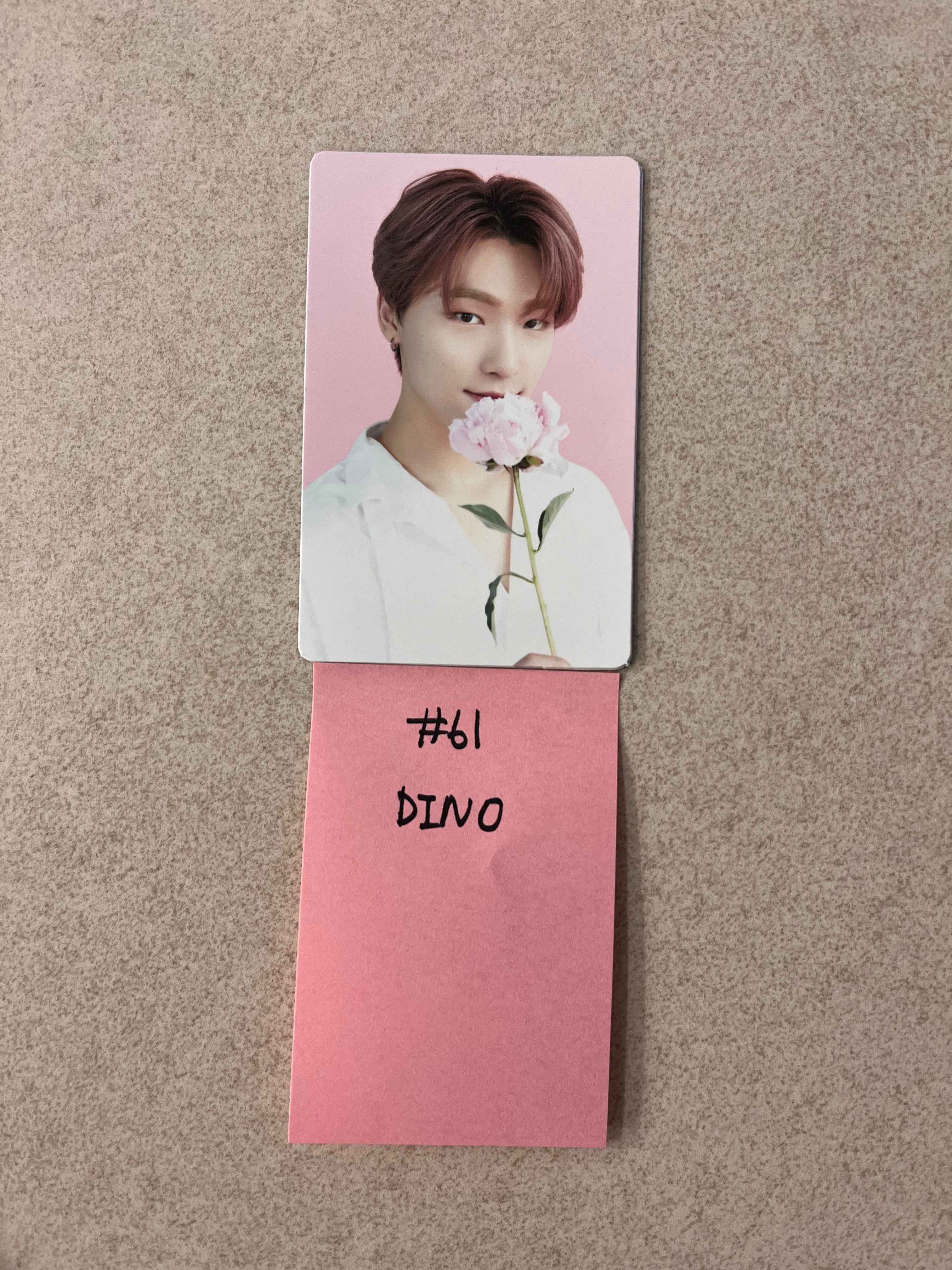 Seventeen Cafe in Seoul - Official Trading Photocard
