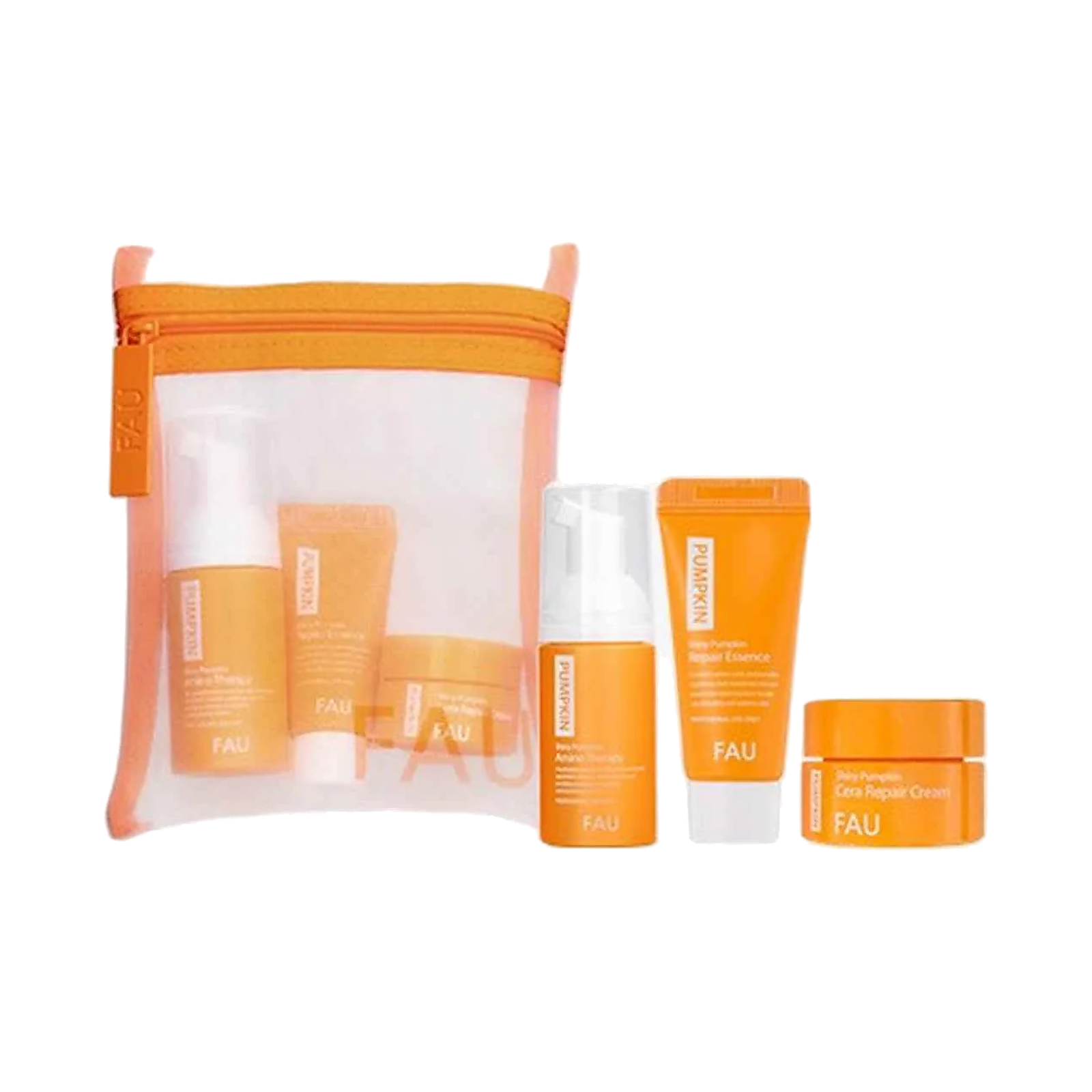 FAU Pumpkin Welcome Kit (1set) product image Main image