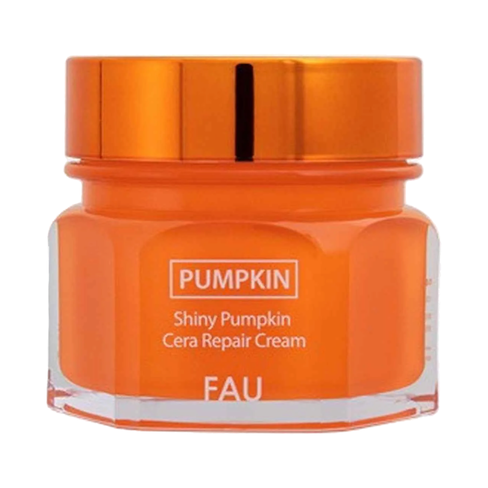 FAU Shiny Pumpkin Cera Repair Cream (100g) product image Main image